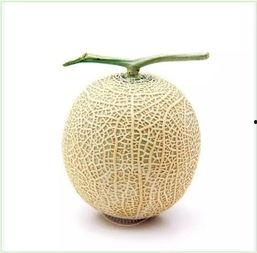 吃瓜群众图片真人头像