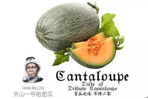 娱乐吃瓜配乐推荐,盘点热门配乐推荐