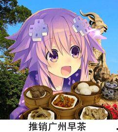 喵酱娱乐吃瓜
